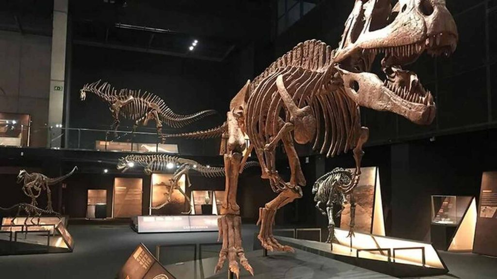 Exposici&oacute;n de dinosaurios en Madrid