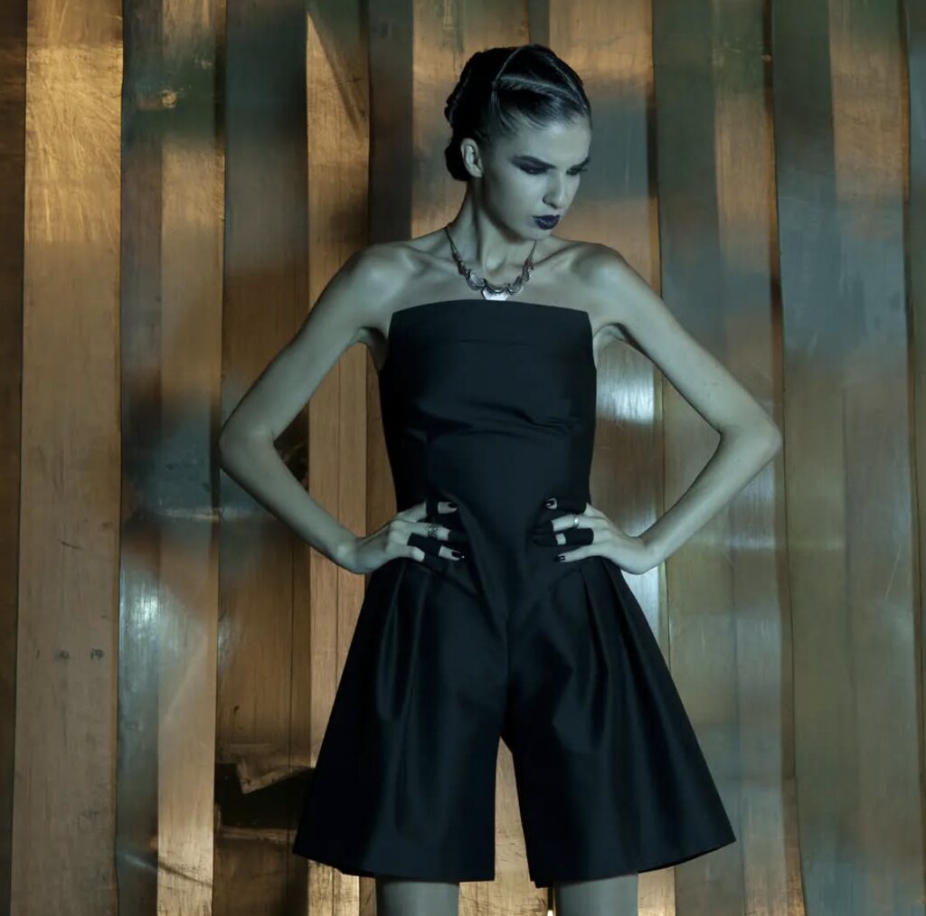 Dise&ntilde;ador moda