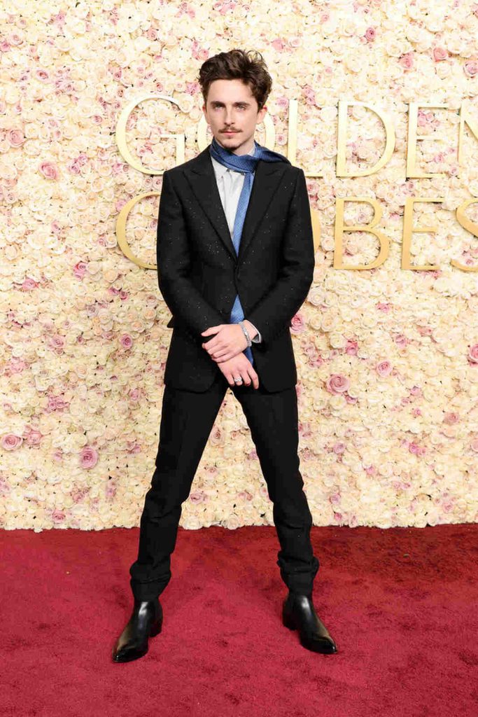 Posado de Chalamet