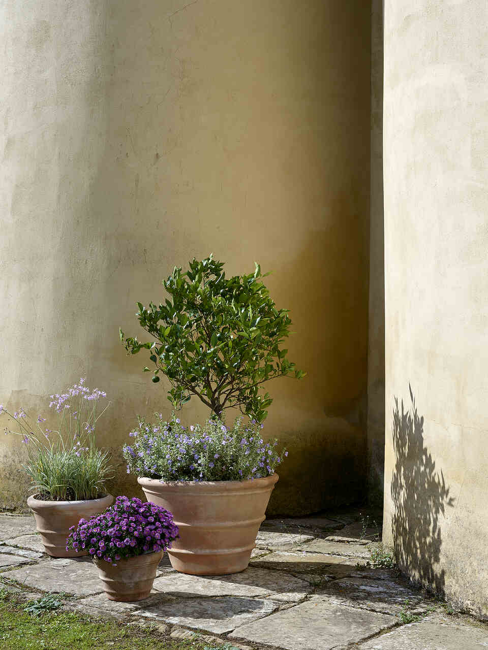 decoraci&oacute;n