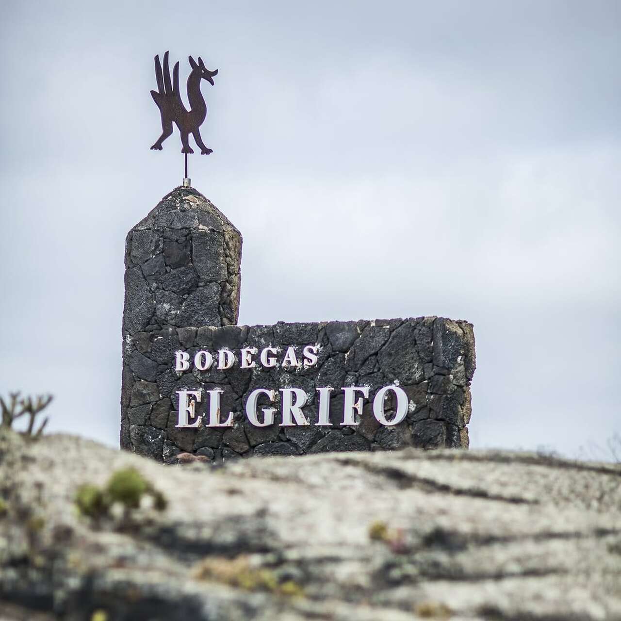 el grifo bodega lanzarote