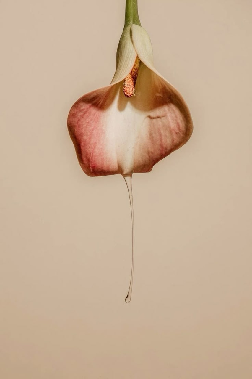 menopausia entrevista