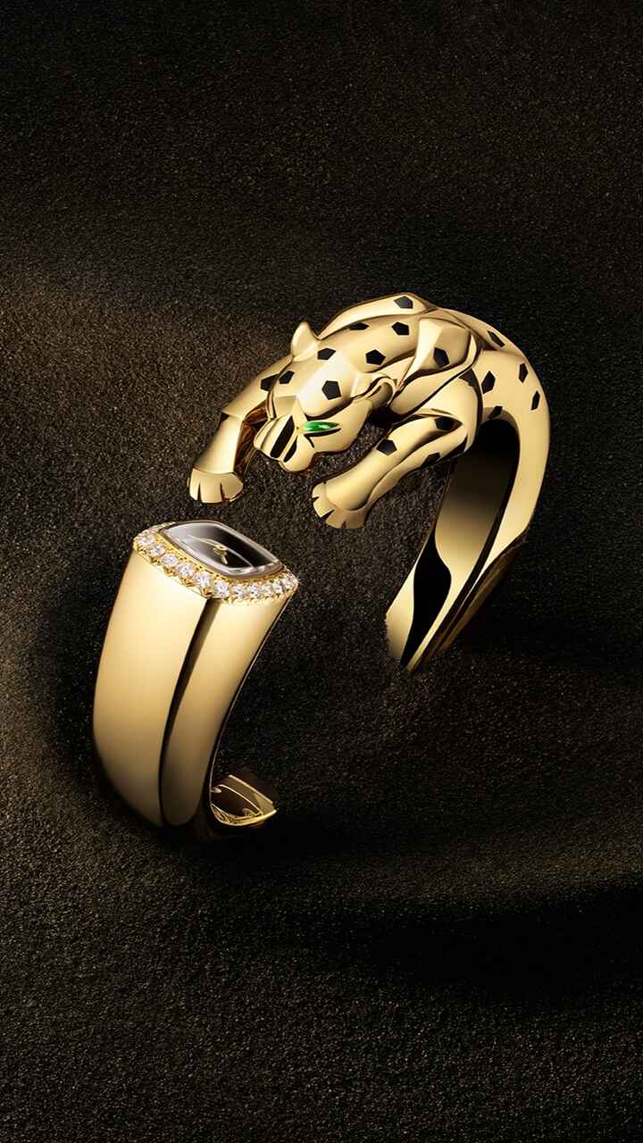 watches and wonders 2025, relojes