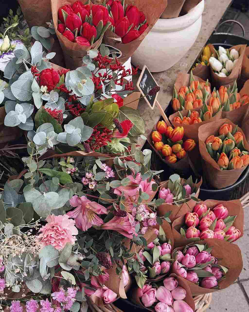 florister&iacute;a f&iacute;sica Madrid
