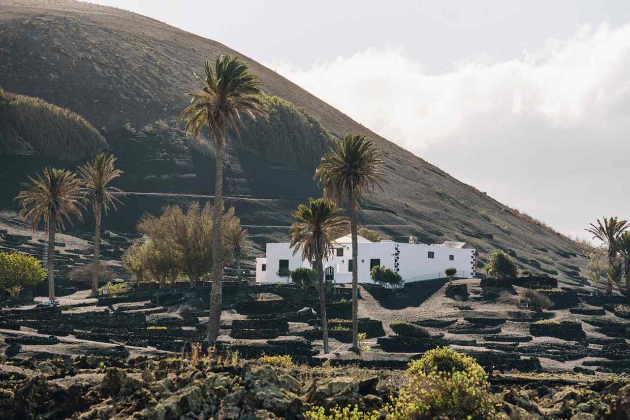 Lanzarote bodega