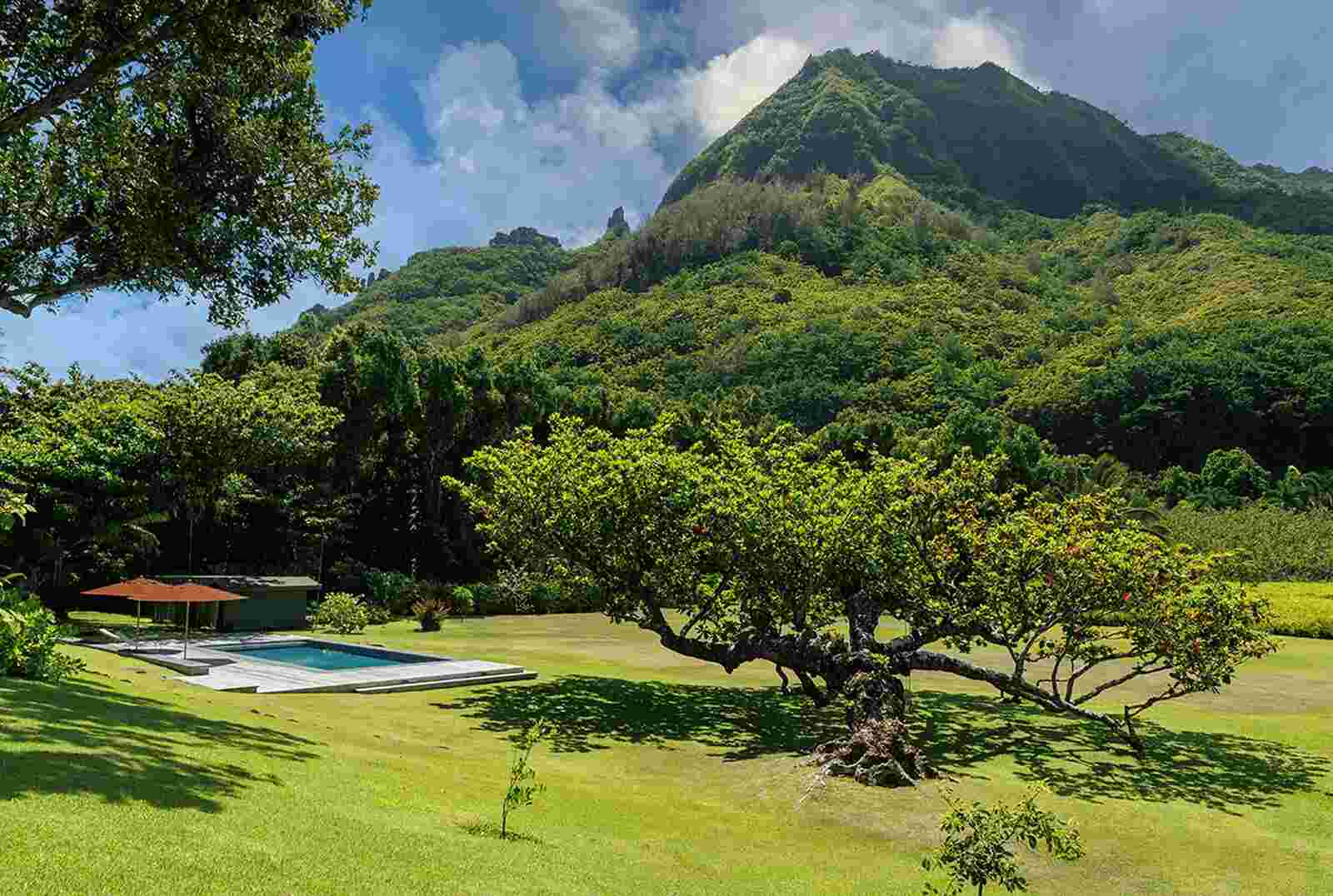 Vista del jardín