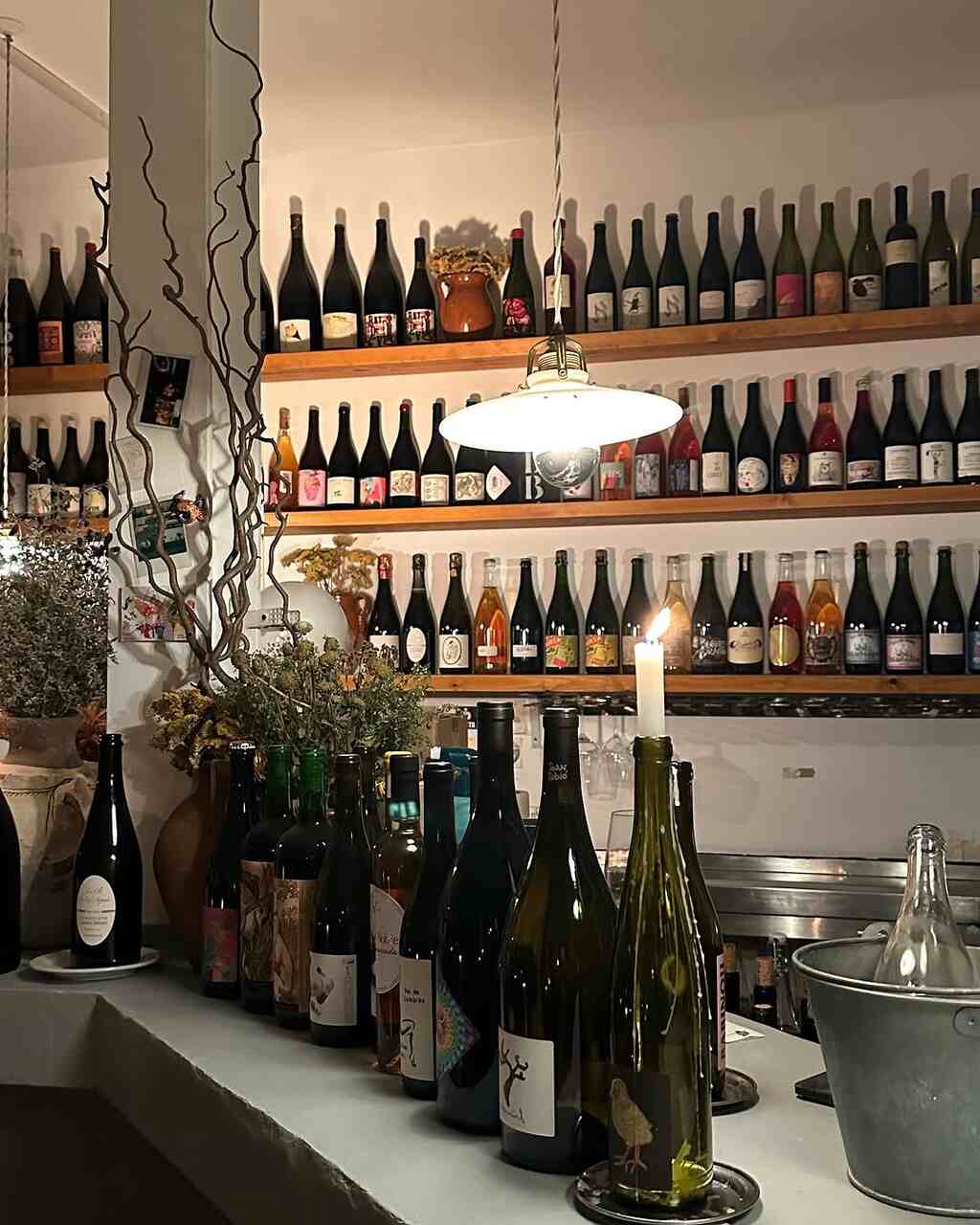 bares de vinos modernos, vino