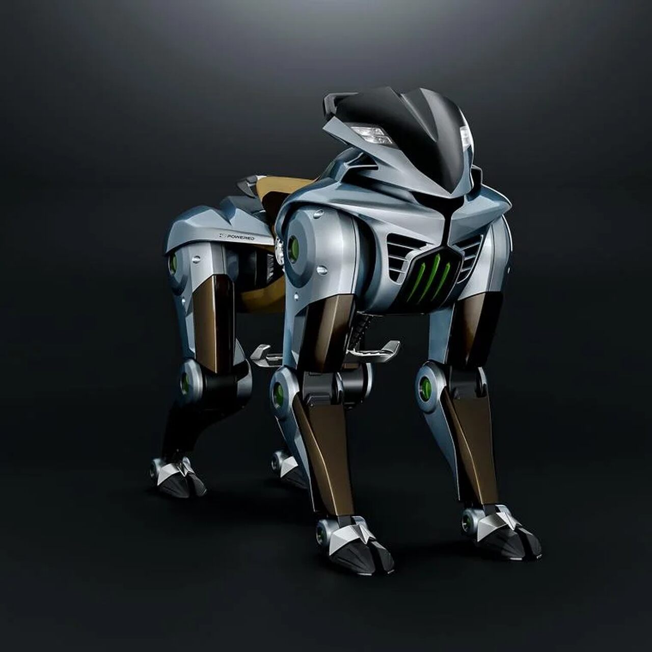 kawasaki caballo corleo