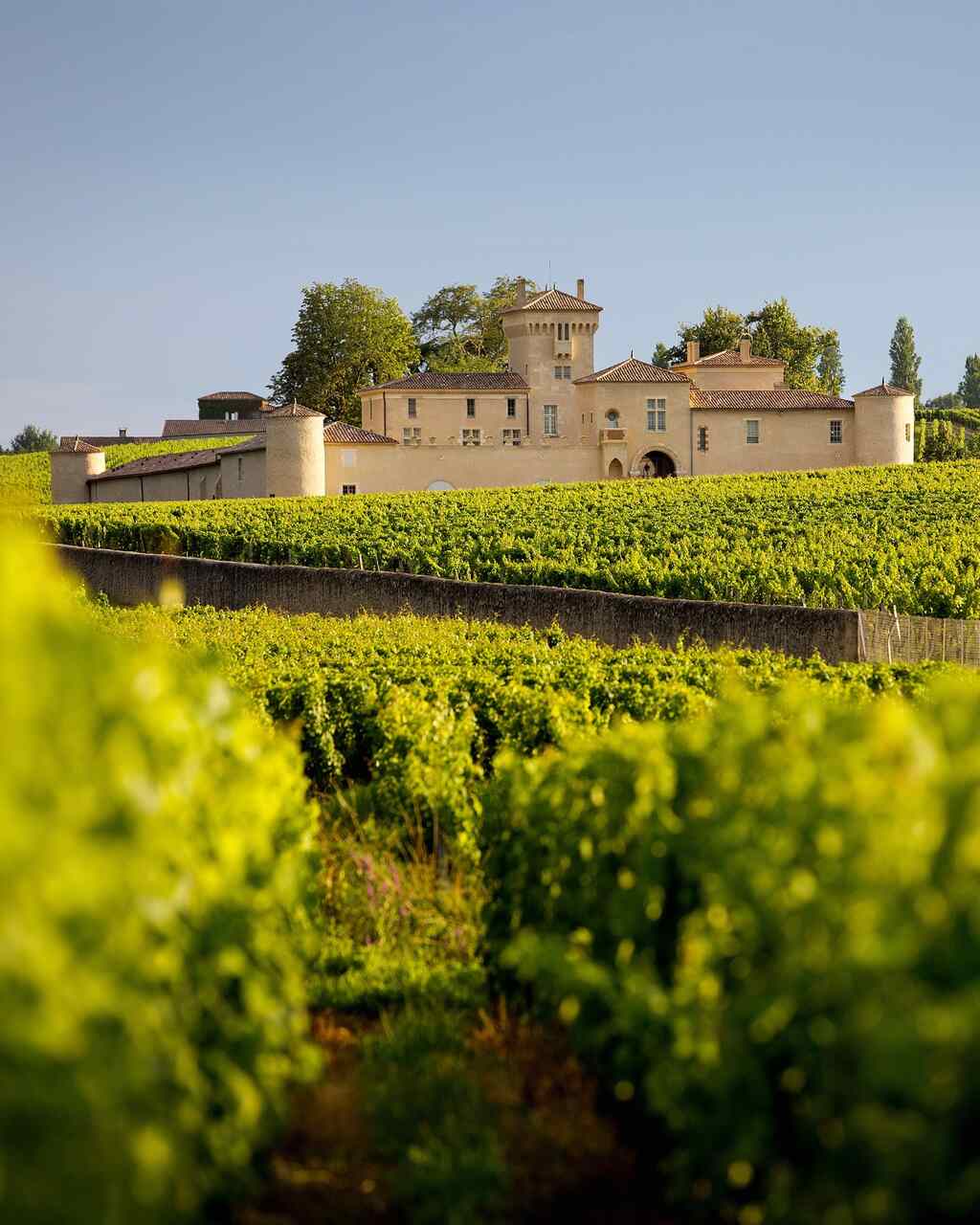 enoturismo francia