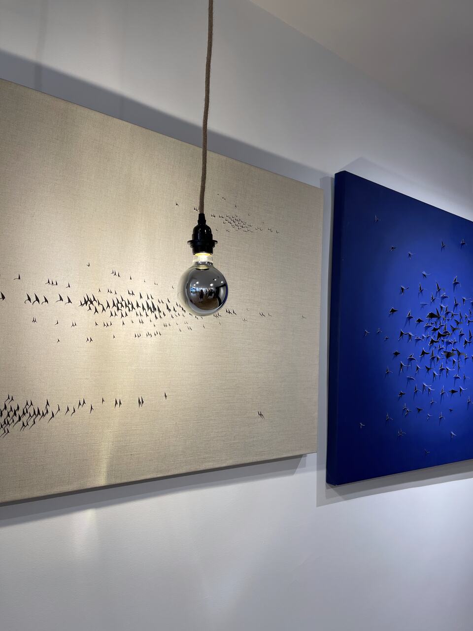 galer&iacute;a havet gallery