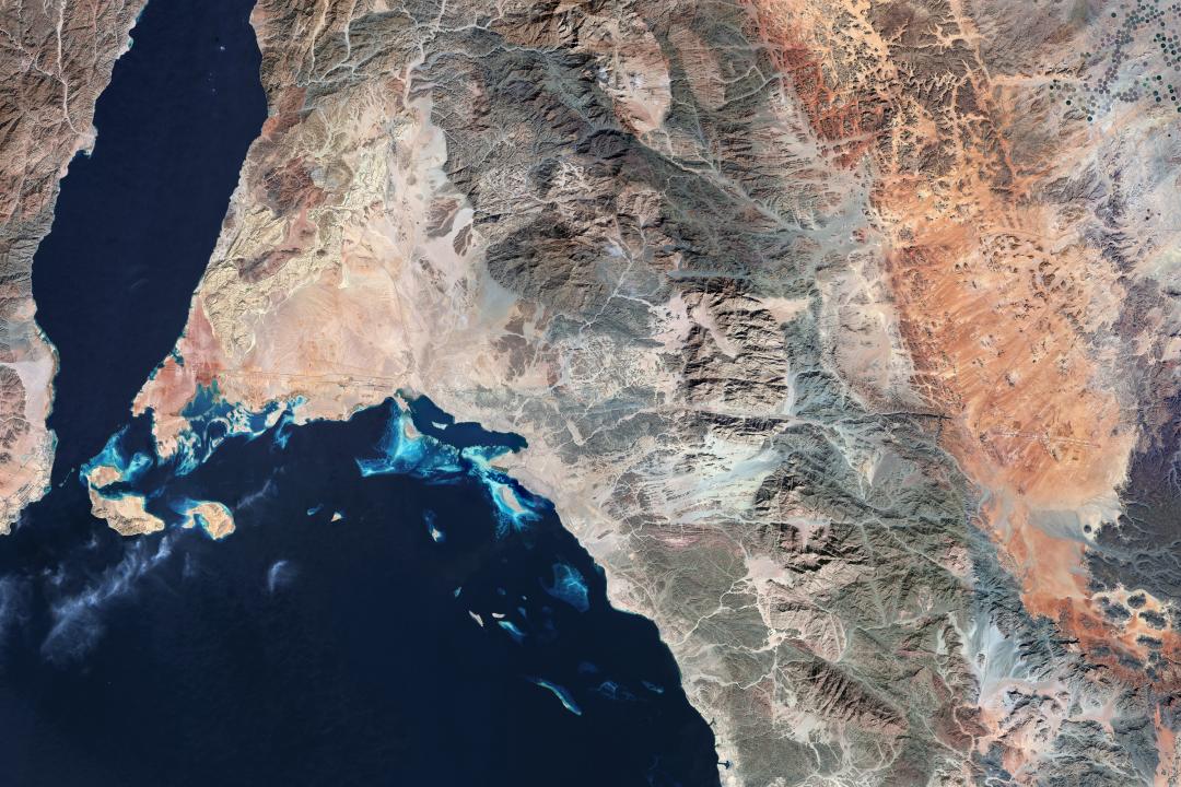 NEOM, multimillonarios, isla