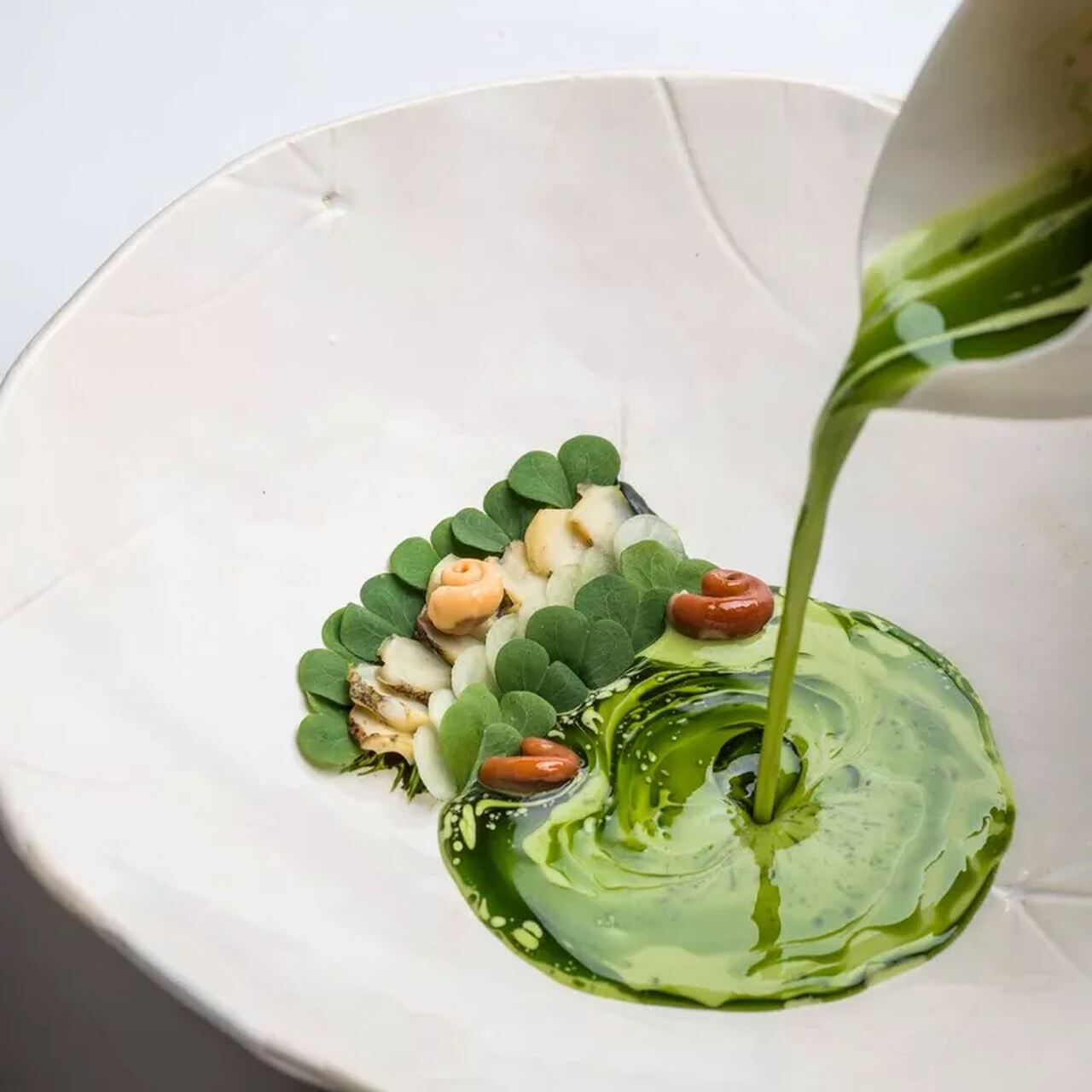 plato verde