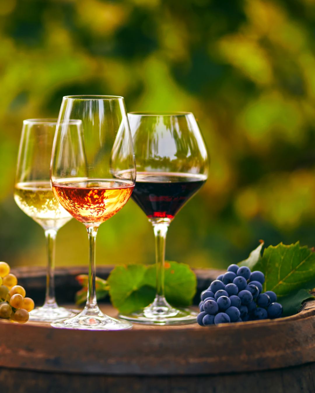 Vinos