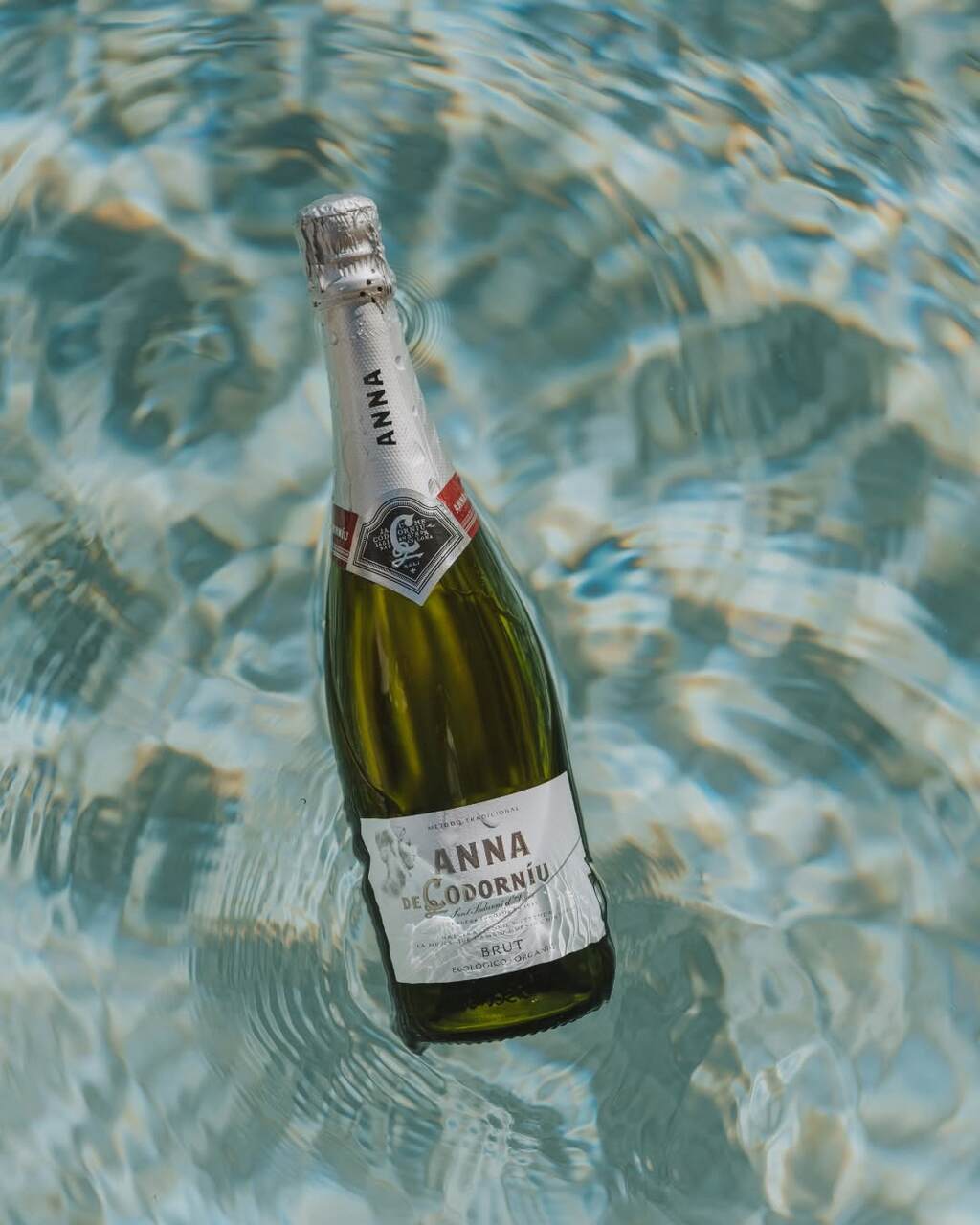 codorniu