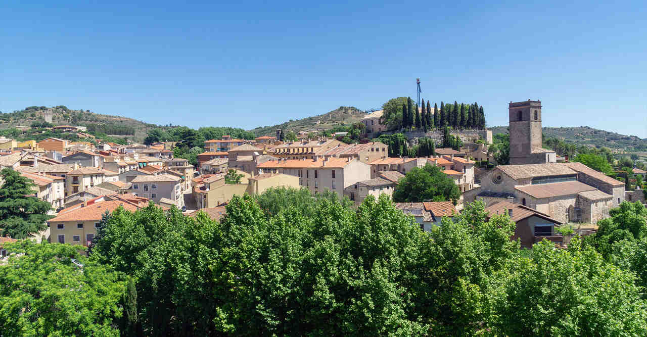 Brihuega Lavanda