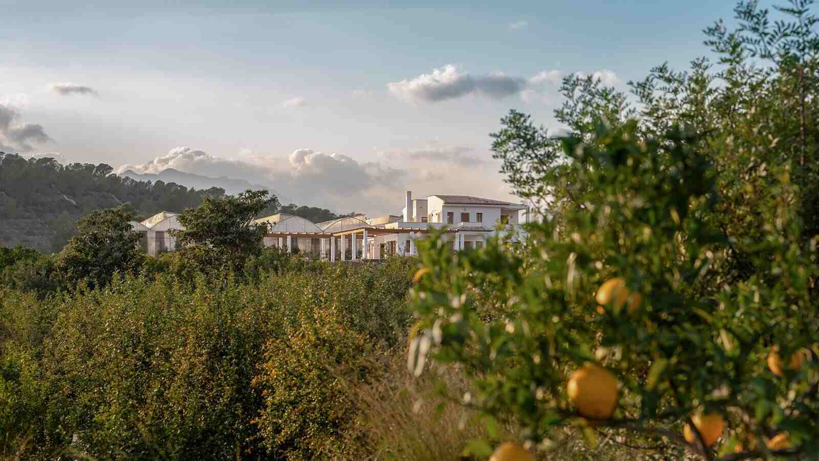 Finca del espacio