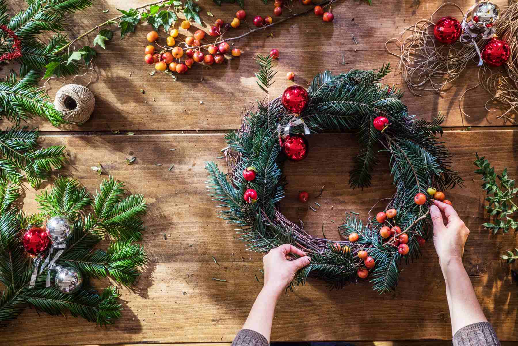 Corona Navidad, Árbol