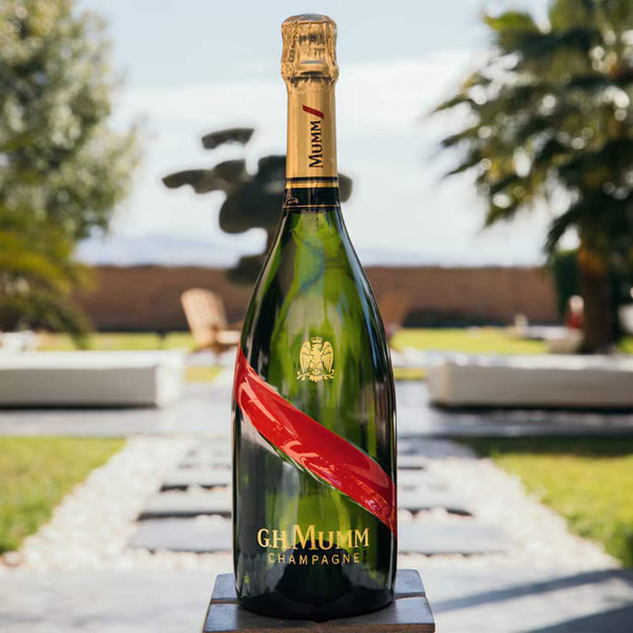 champagne Navidad