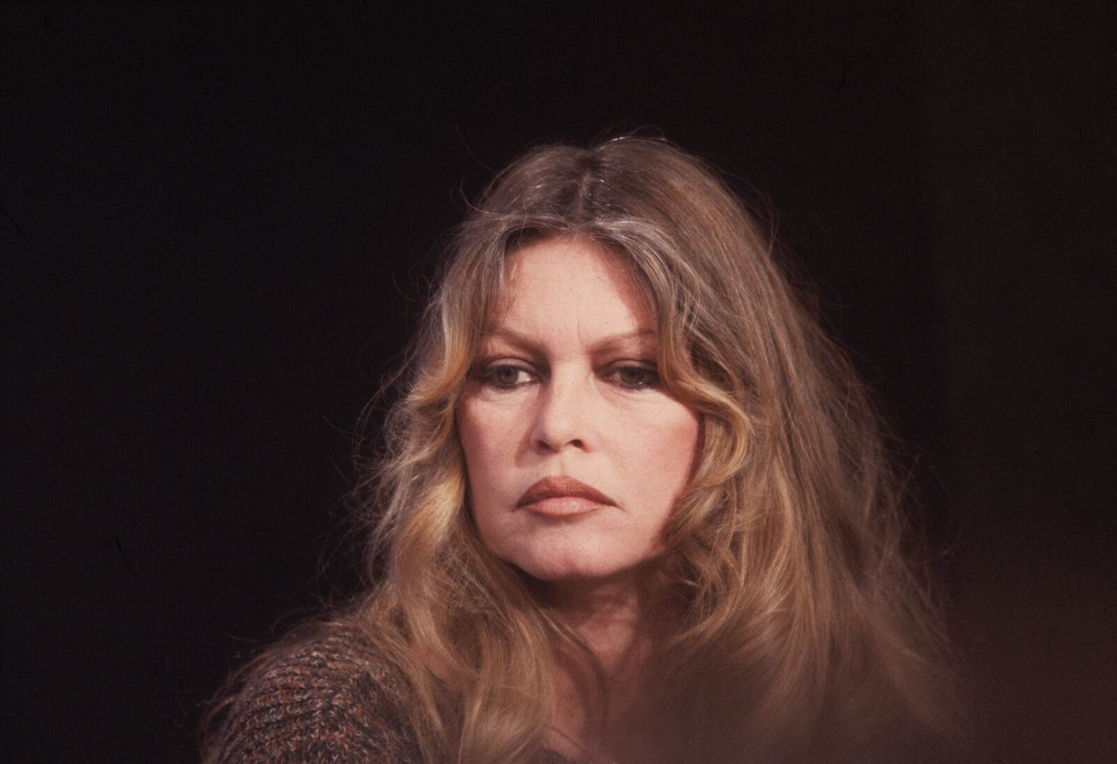 Retrato de Brigitte Bardot