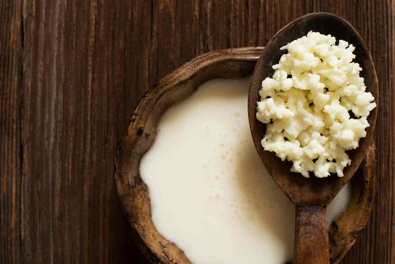 Kéfir para adelgazar, microbiota