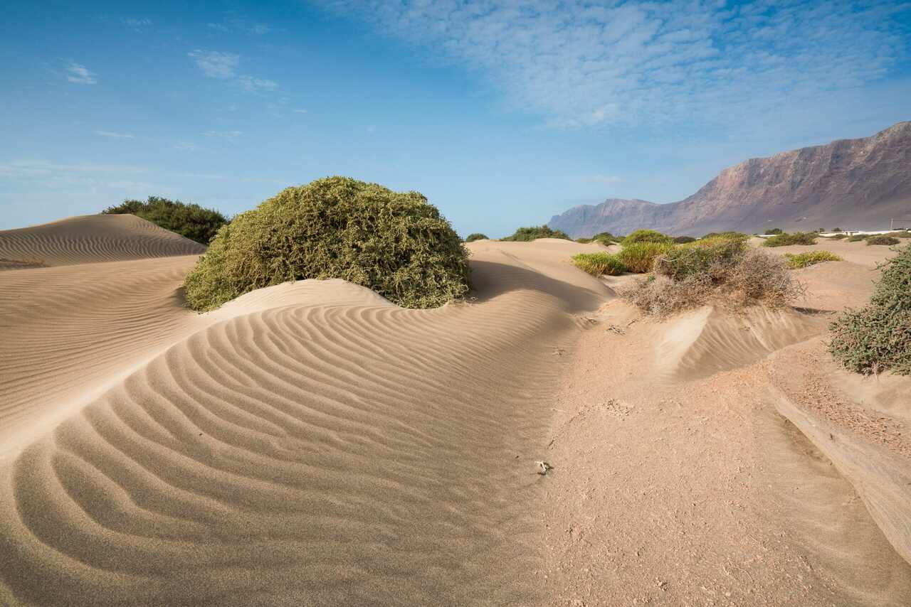 Lanzarote arena