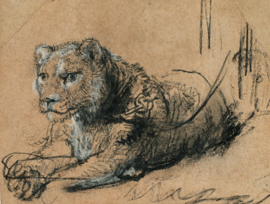 leon de Rembrandt