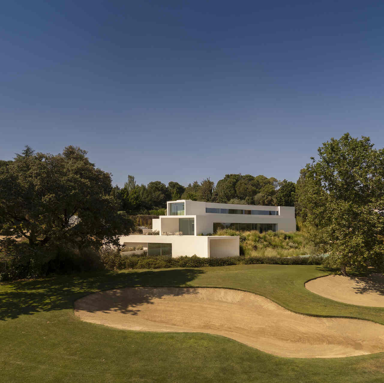 Fran silvestre proyecto La Moraleja