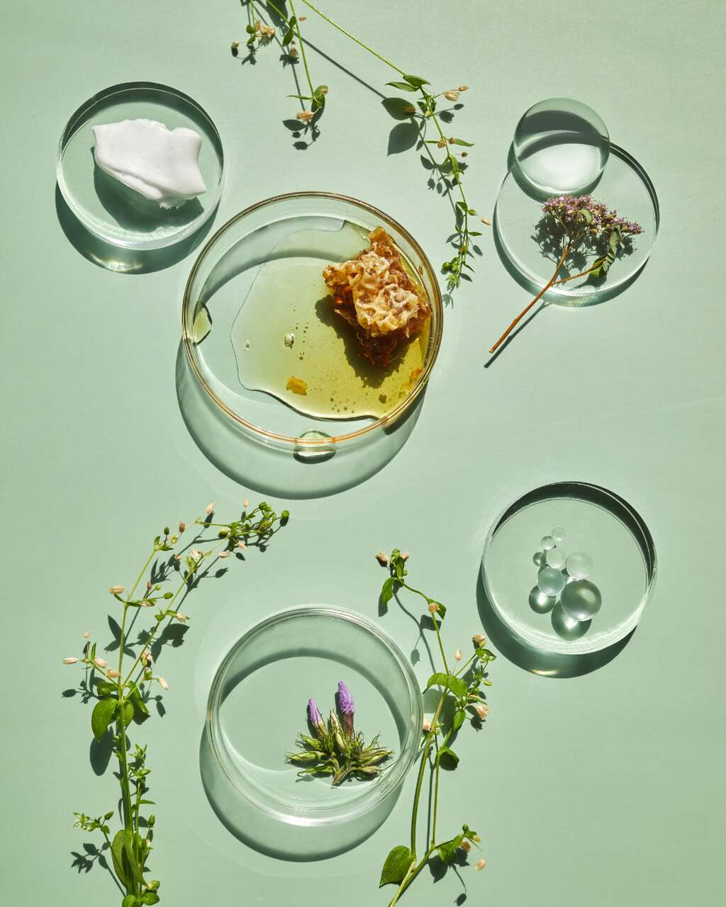 cosm&eacute;tica belleza
