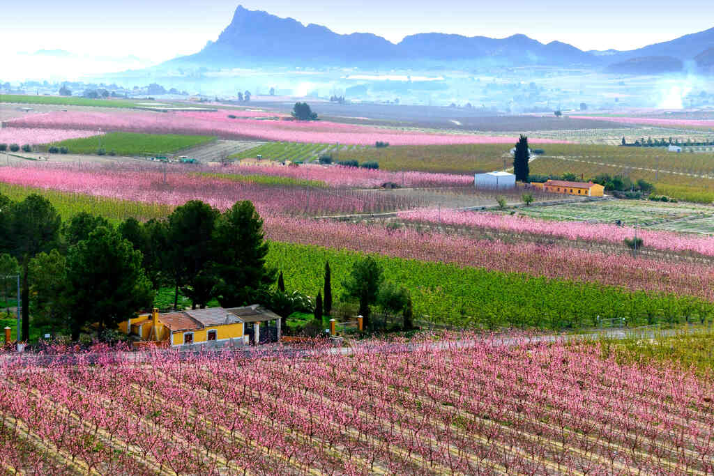 Cieza, Murcia