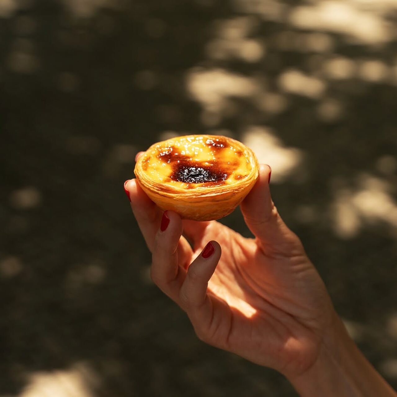 recetas portuguesas