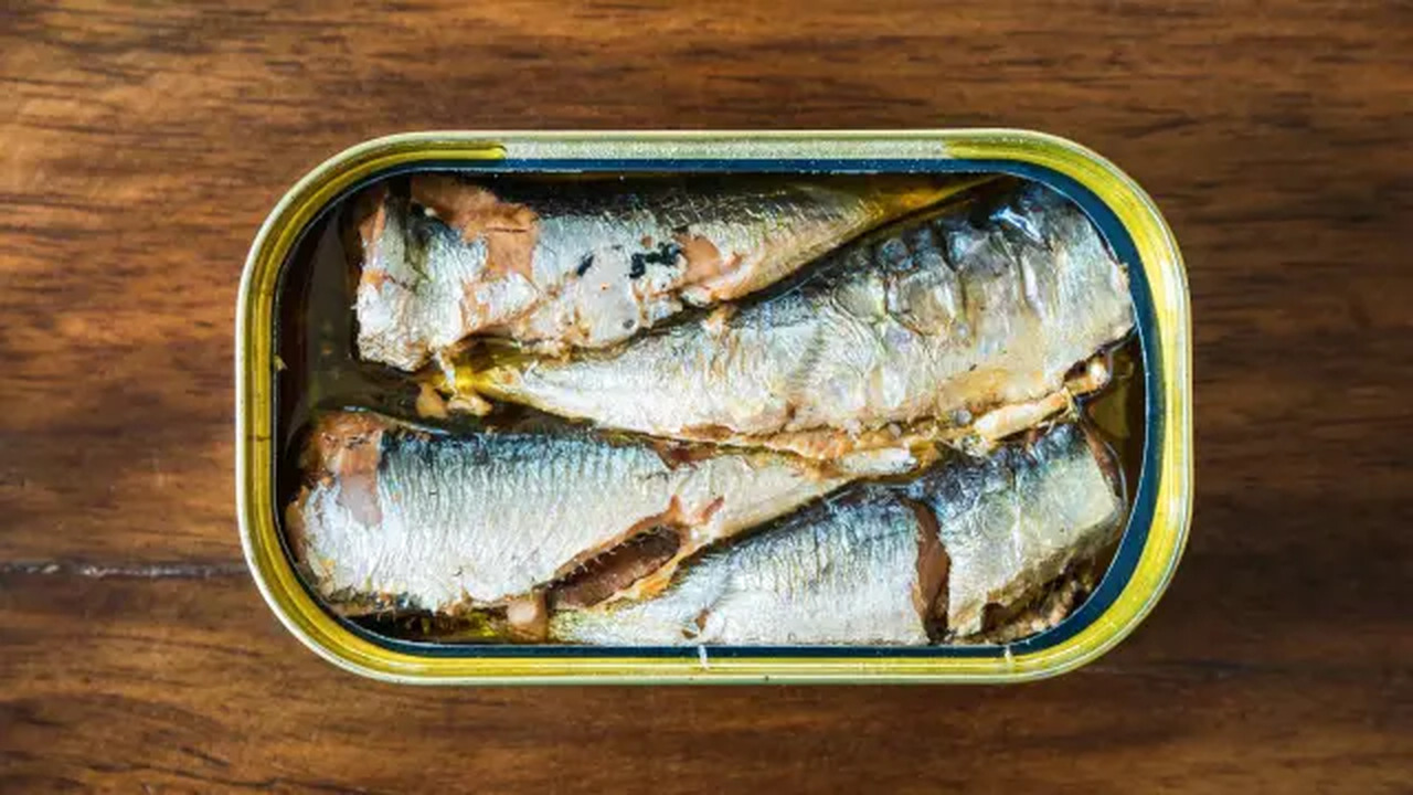 sardinas sara carbonero