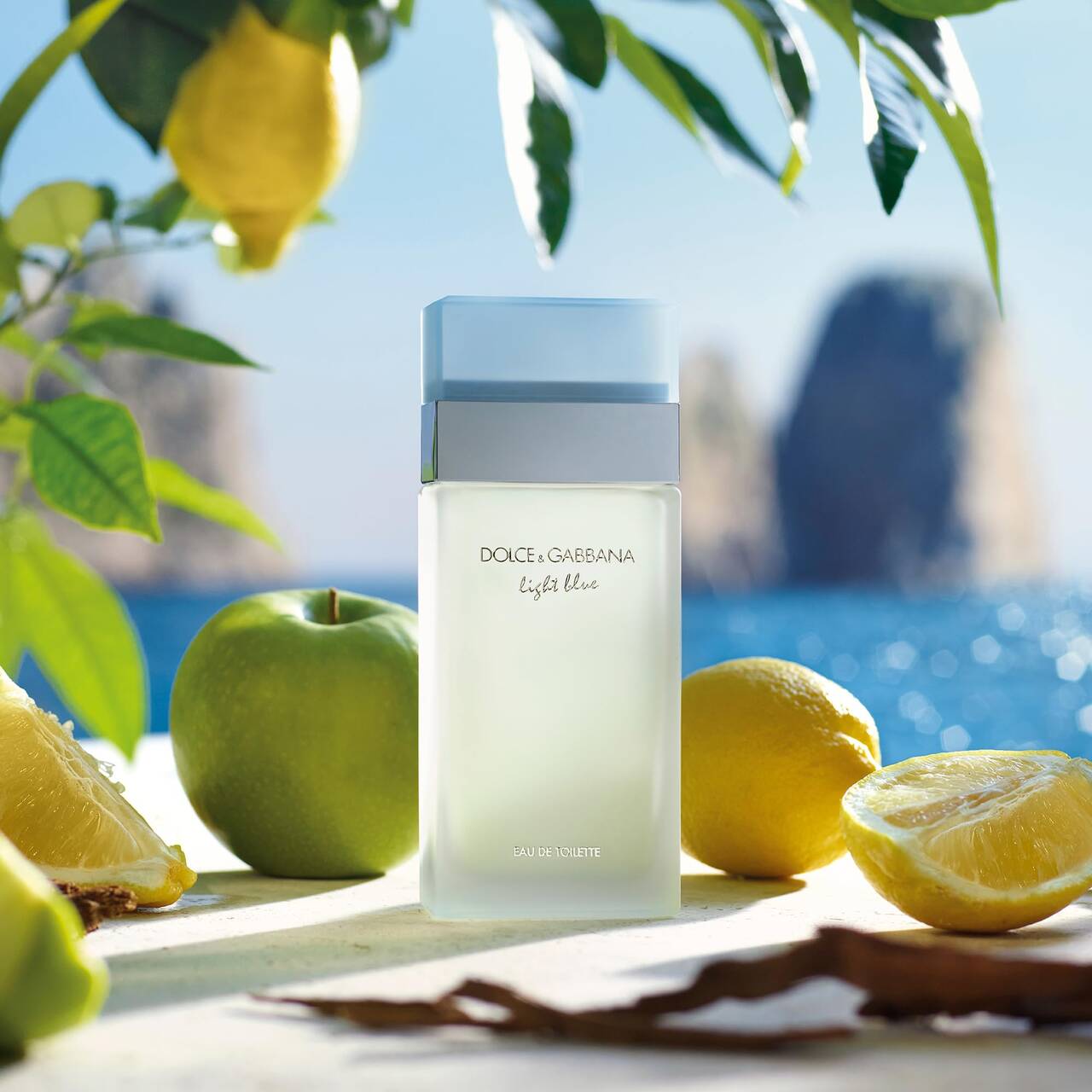 perfumes primavera regalar