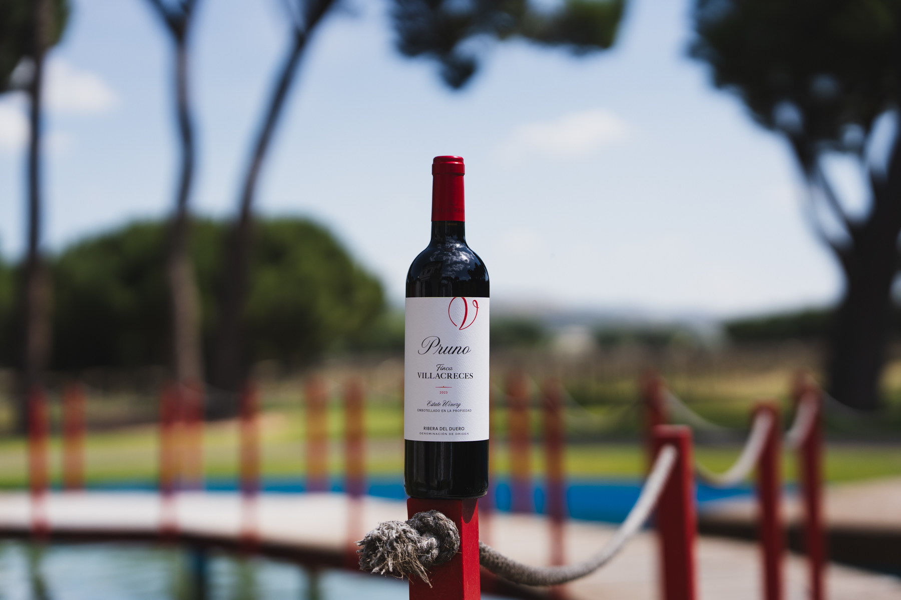 vino