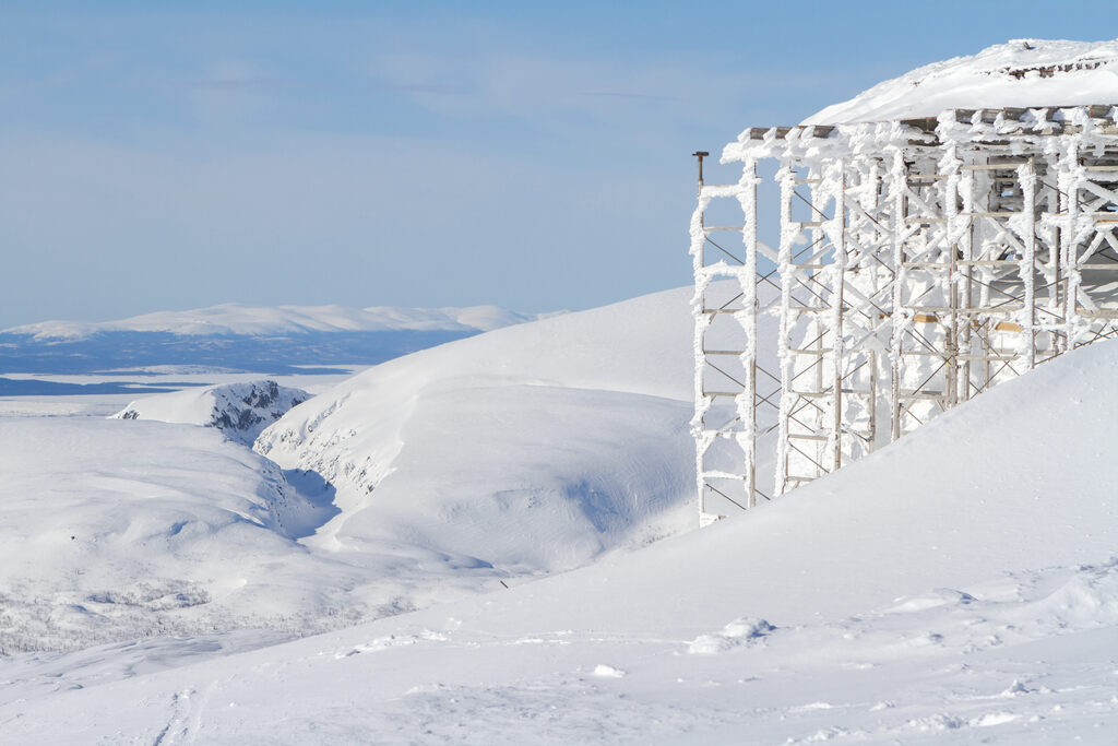 Diaamnte dículo polar