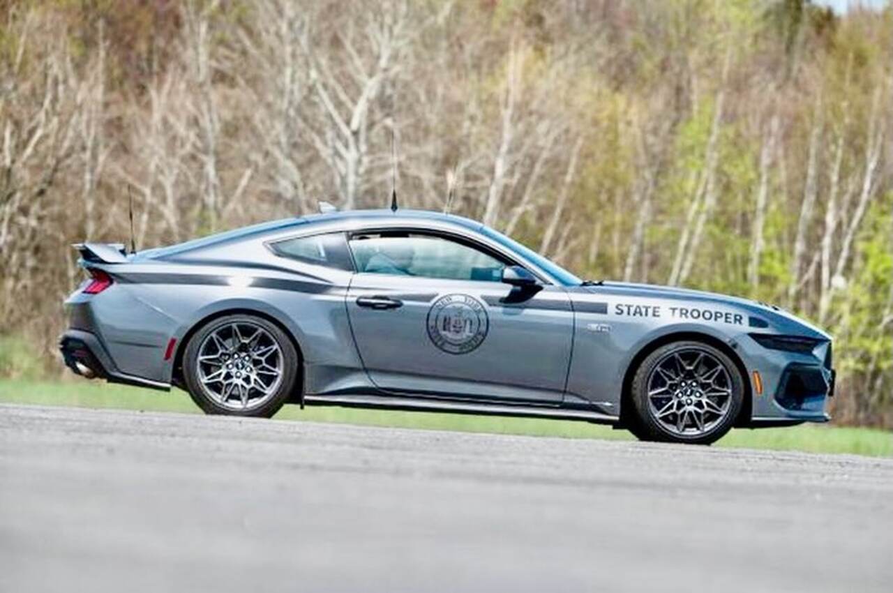 Mustang