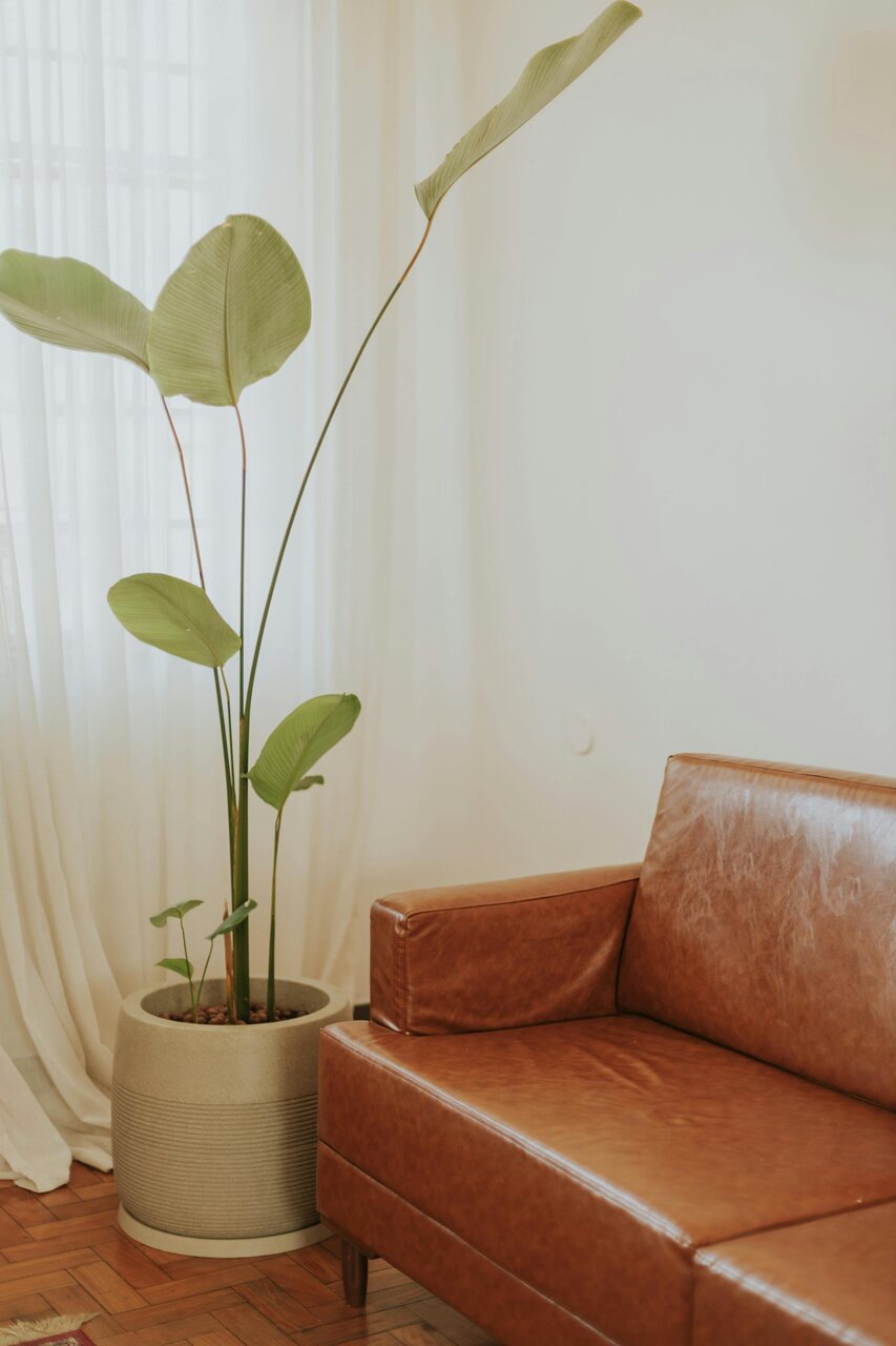 decoraci&oacute;n casa primavera