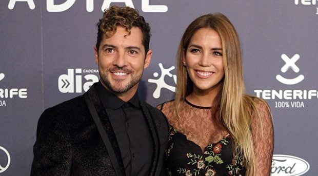 David Bisbal y Rosanna Zanetti