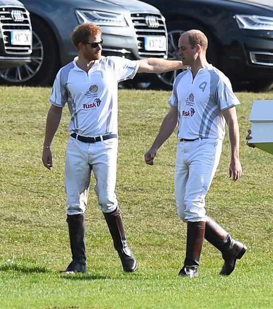 Pr&iacute;ncipes Harry y William