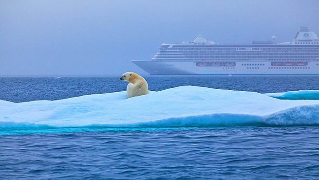 Cruceros