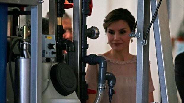 La reina Letizia