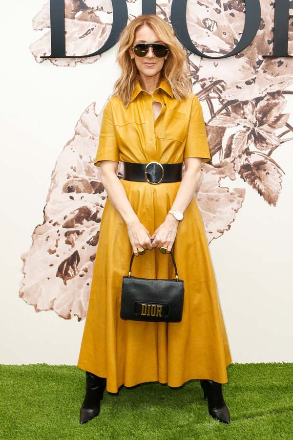 Celine Dion Transformación Estilo Looks
