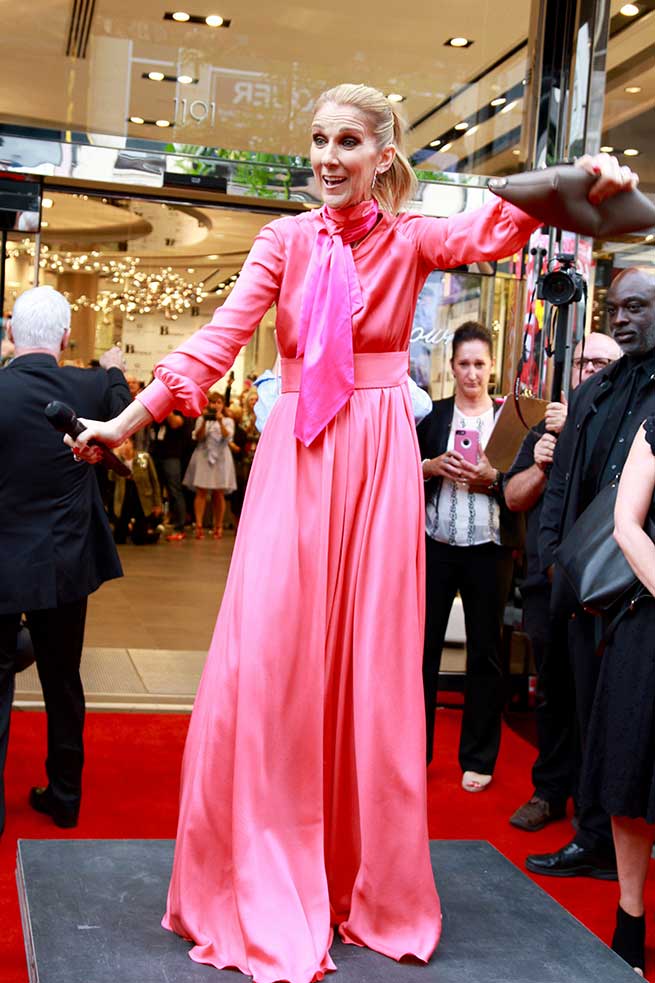 C&eacute;line Dion en Canad&aacute; / Gtres