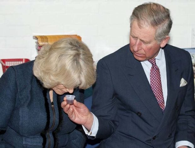 Príncipe Carlos de Inglaterra y Camilla Parker Bowles