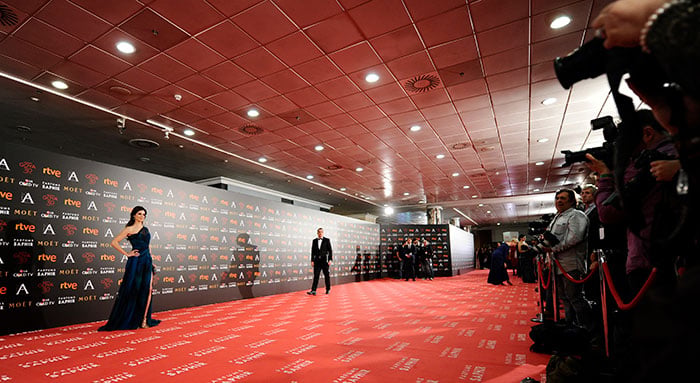 Los mejores looks de los premios goya