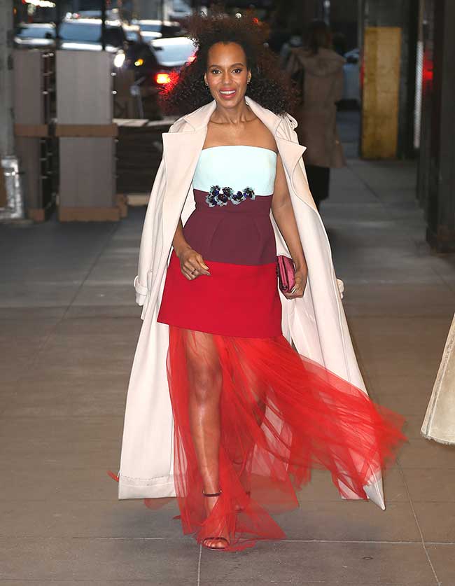 Kerry Washington Delpozo