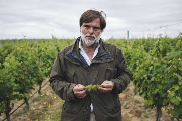 Bodega El Regajal Vinos de Madrid