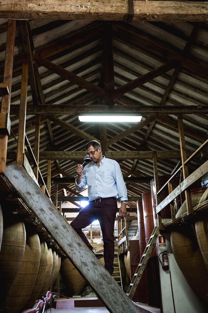 Bodegas Jesus D&iacute;az e Hijos