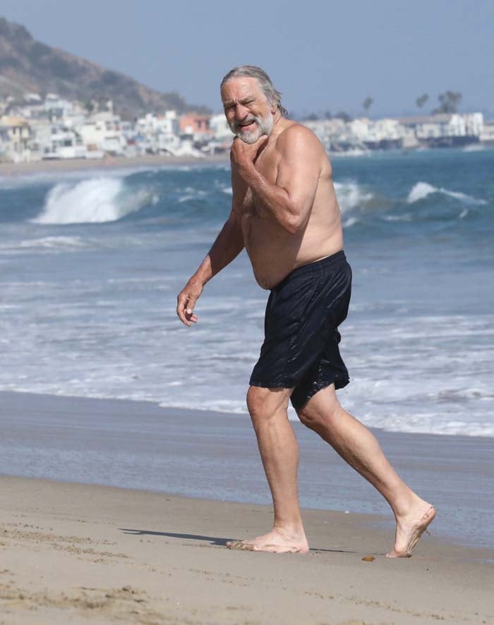 robert de niro playa
