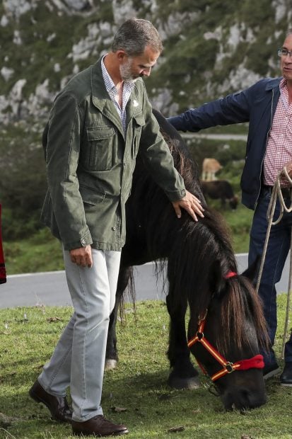 El Rey con la yegua / Gtres