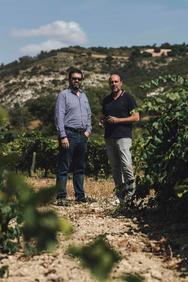 Bodegas Cuarto Lote
